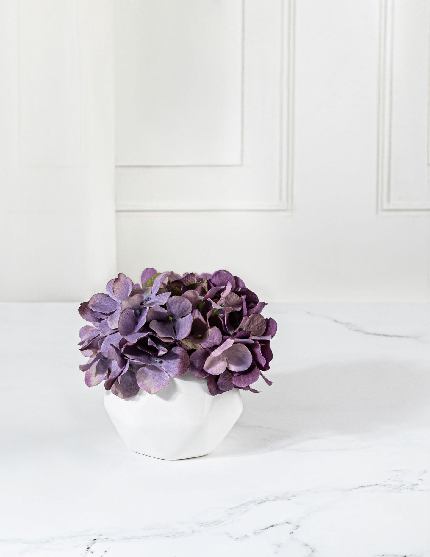 Violet Hydrangea