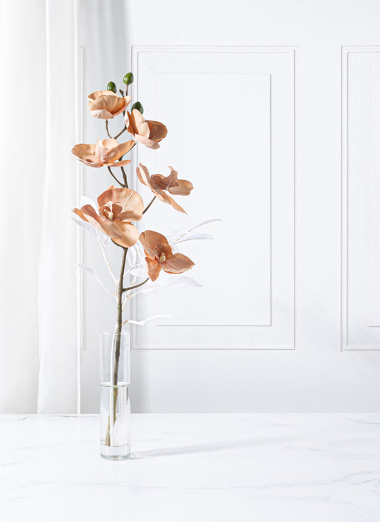 Bamboo Orchid