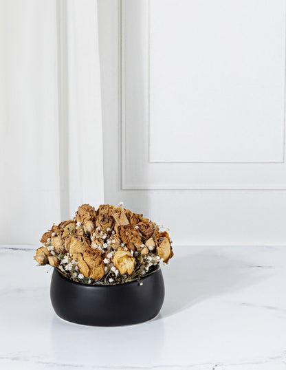 Dried Rose Bloom Dome