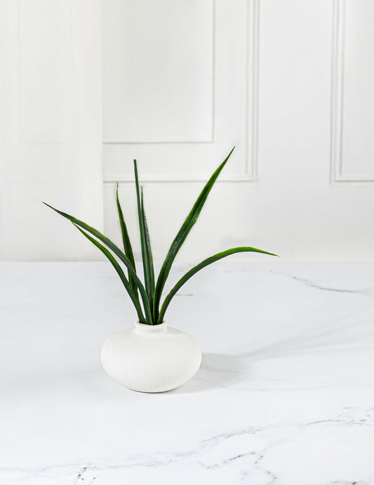 Sprout - Bud Vase
