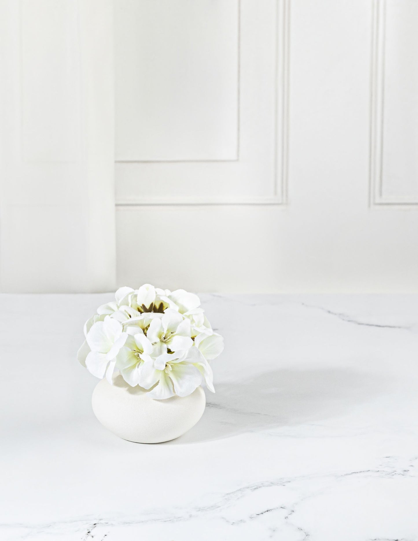 Ivory Hydrangea
