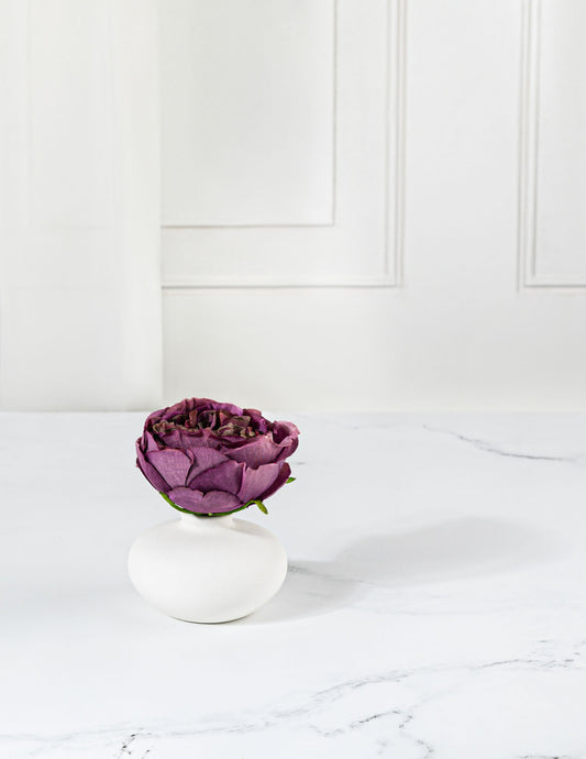 Violet Rose