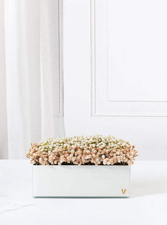 Blush Mist Rectangle