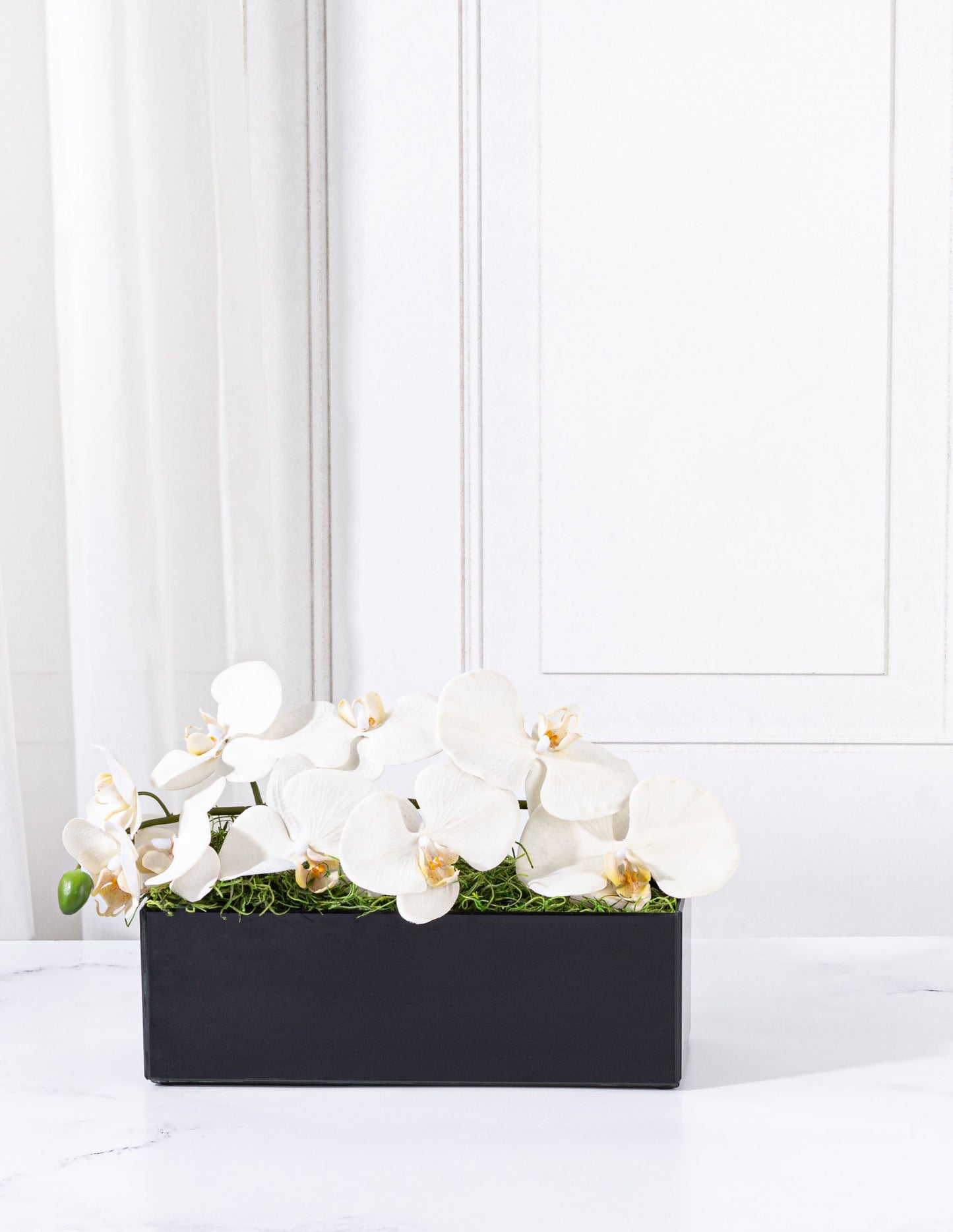 Orchid