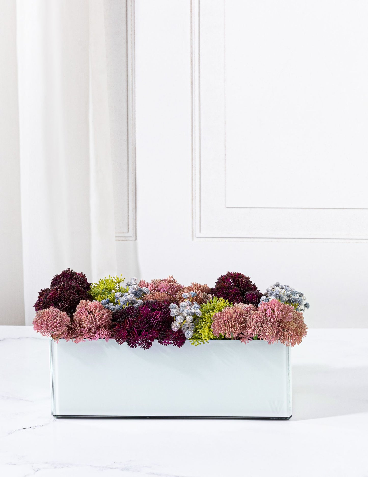 Moss Cluster