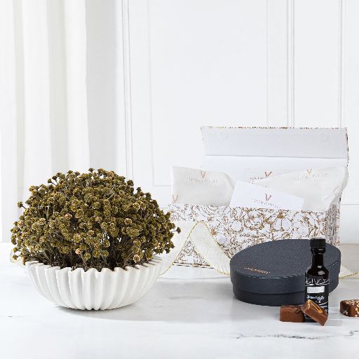 Purim Gift Box- Olive Bush Pleated Bowl